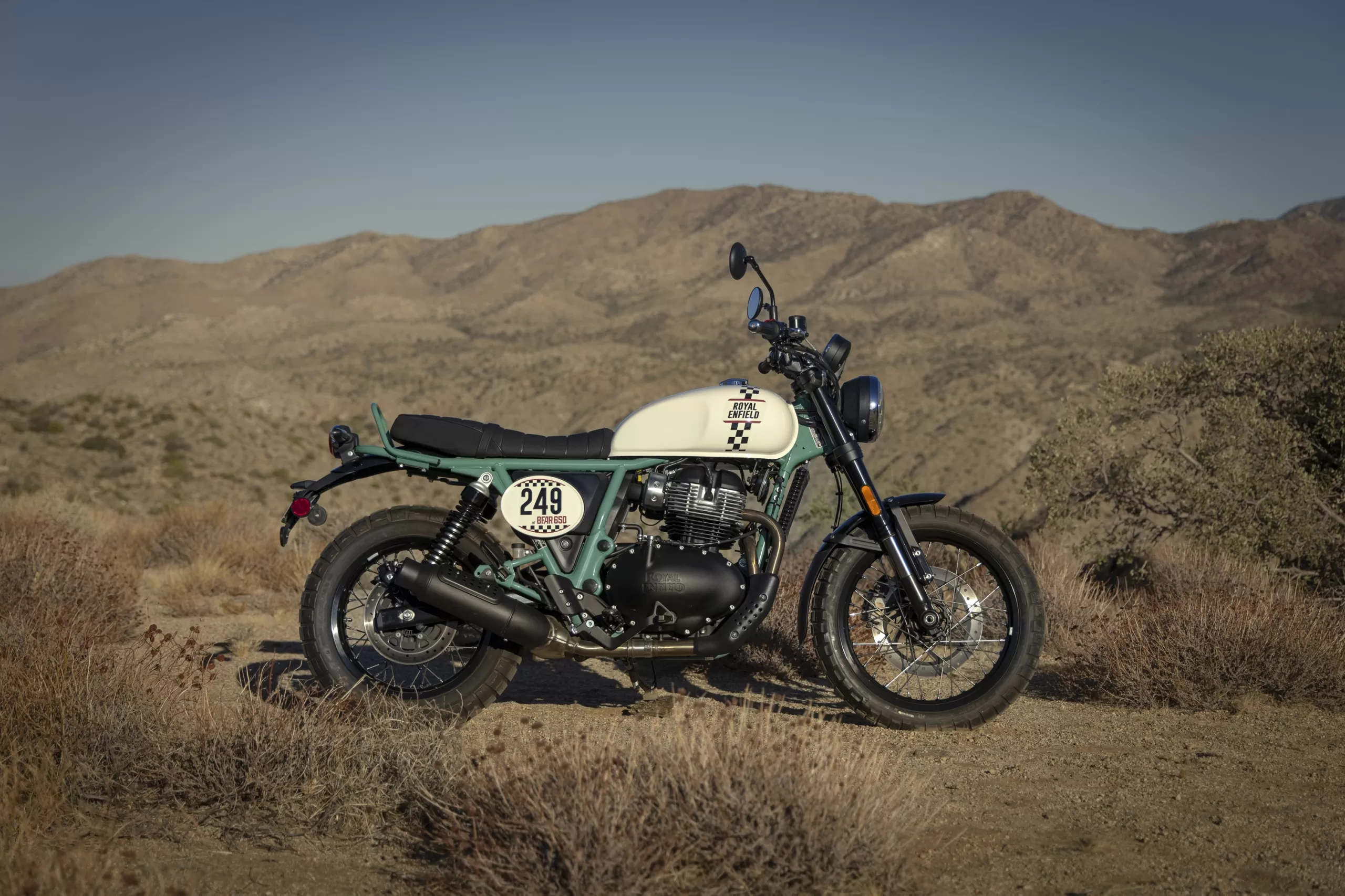 Bear 650